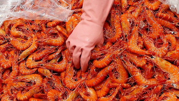 A fifth prawn farm has tested positive for an exotic virus near Queensland's Logan River. (AAP)