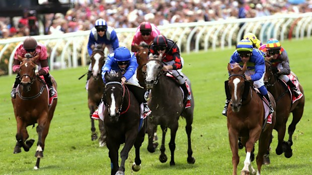 Antelucan ridden by Chad Schofield (blue cap) wins Race 1 the Emirates Airline Plate. (AAP)