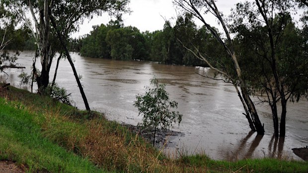 Supplied image of the swollen Murrumbidgee River in Wagga Wagga on Sunday, March 4, 2012. (AAP)