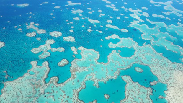 Prime Minister Malcolm Turnbull has announced a $1 billion fund to protect the Great Barrier Reef. (AAP)