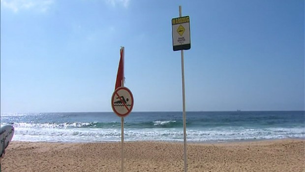 All of Newcastle's beaches have reopened after a nine-day closure due to shark sightings. (9NEWS)