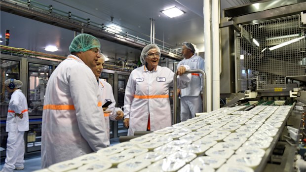 Sophie Mirabella visited the Danone Murray Goulburn plant in April.  (AAP)