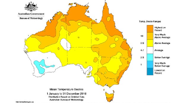 Sydney has experienced its hottest year on record, with much of Australia experiencing higher than average weather conditions. (BoM)
