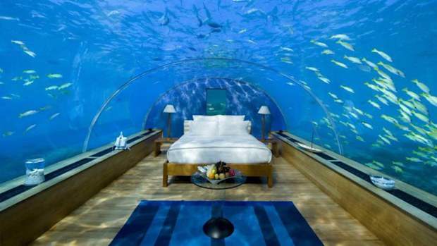 The professors will teach from Jules' Undersea Lodge, a hotel and attraction in the Key Largo lagoon. (Supplied)