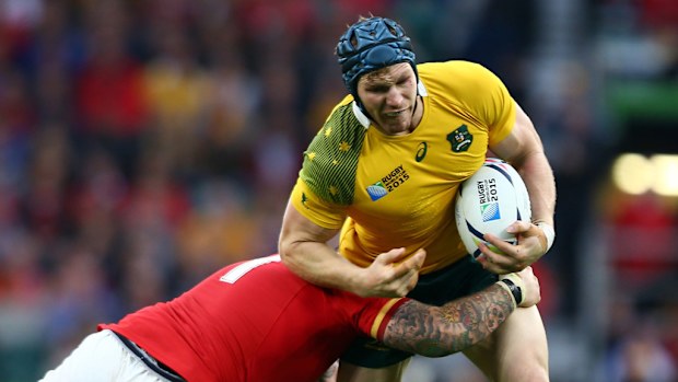 Star flanker David Pocock has avoided sanction for an alleged kneeing incident. (Getty)