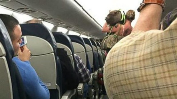 A woman was kicked off a flight in the US after boarding the plane with a pet pig. (Twitter)