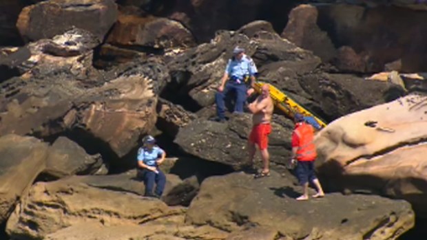 Police are working to identify the body of a man found dead beneath a cliff in Clovelly. (9NEWS)