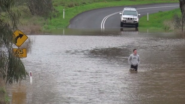 A major flood warning has been issued for the Belubula River at Canowindra, NSW. (9NEWS)