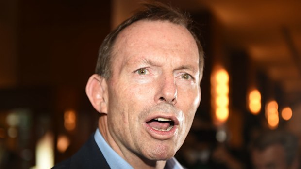 Mr Abbott at the NSW Liberal State Council in Sydney today. (AAP)