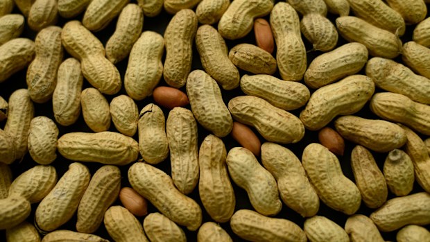 Experts say introducing babies to nut flours could be beneficial to their long-term health. (AAP)