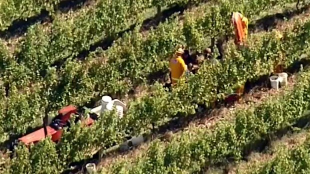 A man in his 50s has died after a tractor accident. (9NEWS)