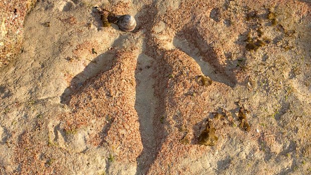 A file image of a three-toed dinosaur footprint in Broome, Western Australia. (Getty Images)