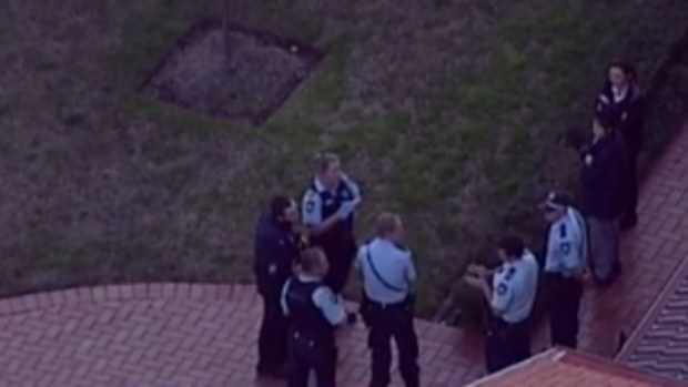 Emergency services were called to a home in Westleigh following reports of an altercation. (9NEWS)