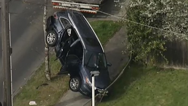An elderly driver had just left the optometrist when he crashed his car in Oakleigh, causing another to become wedged against a tree. (9NEWS)