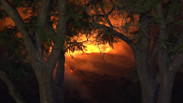 The blaze erupted in the ceiling of the building and quickly spread. (9NEWS)