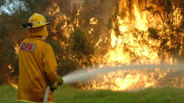 Firies have attacked Victorian Labor over its state firefighting plan. (AAP)