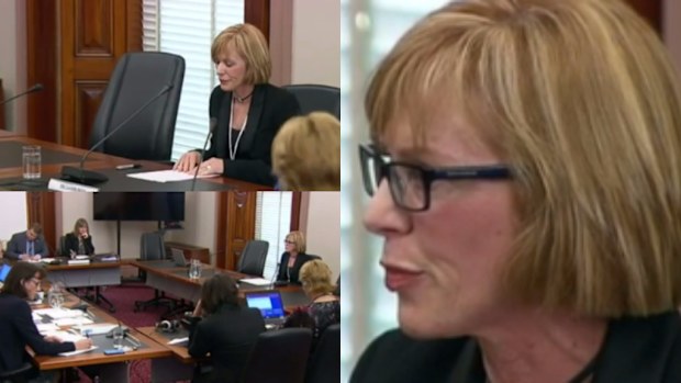 Former CFA chief Lucinda Nolan has revealed the reasons behind her resignation from the board. (9NEWS)