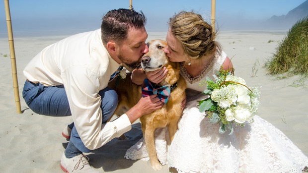 Cassidy William's brought her  dog to her beachside wedding after finding out he had terminal bone cancer. (Natalya Jenney Photography)