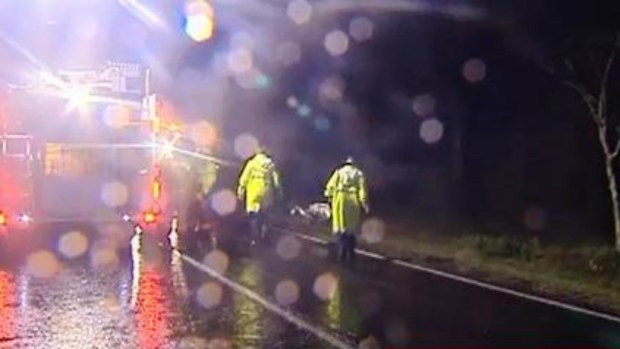 Emergency services on the scene of a Sunshine Coast crash that killed a mother and two children. (9NEWS)