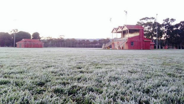 Icy grounds at North Adelaide after temperatures drop to 0.9C (supplied)