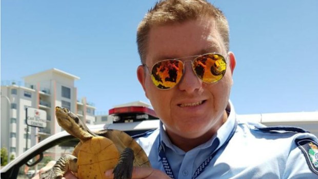 Toby the Turtle and Constable Ben Skene. (QPS)