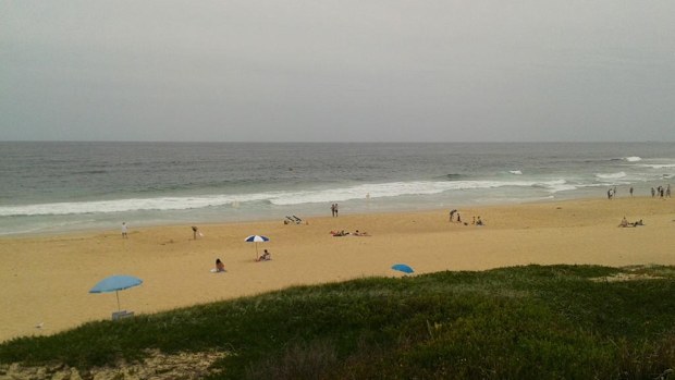 Beaches from Merewether to Bar closed due to sharks sighted in the area. (Twitter, @thardcastle13)