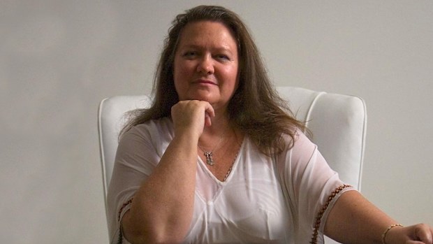 Gina Rinehart has attacked the Channel Nine miniseries as a distortion of the truth.