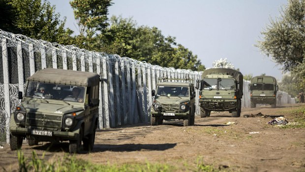 Military vehicles drive along the border fence between Hungary and Serbia.