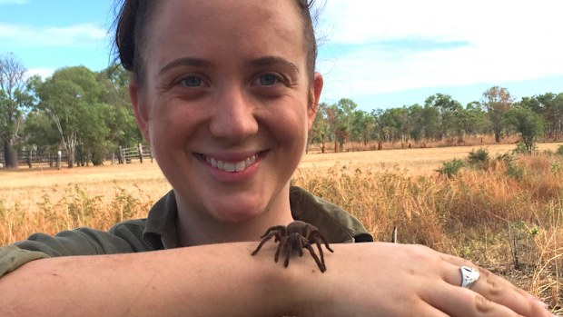 Sophie Harrison with the 'placid' tarantula in the Northern Territory's Judbara/Gregory National Park. (Supplied)