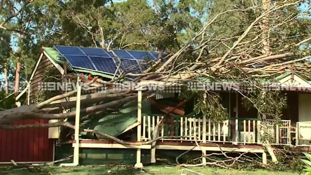 The storm uprooted trees and damaged homes in south-east Queensland. (9NEWS)