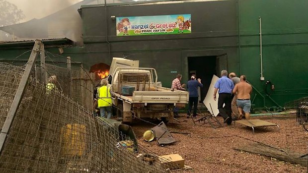 A ute crashed into the Serve You Right cafe (9NEWS)