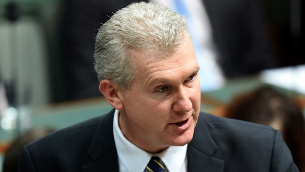 Labor frontbencher Tony Burke. (AAP)