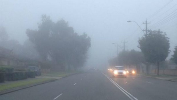 Commuters are urged to go slow in the fog. Photo: Lisa Fernandez (9NEWS).
