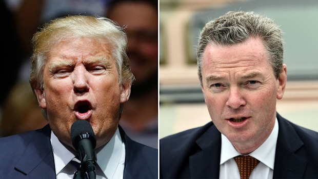 President-elect Donald Trump says the cost of the new F-35 Joint Strike Fighter jet is "out of control" but defence industry minister Christopher Pyne disagrees. (AAP)