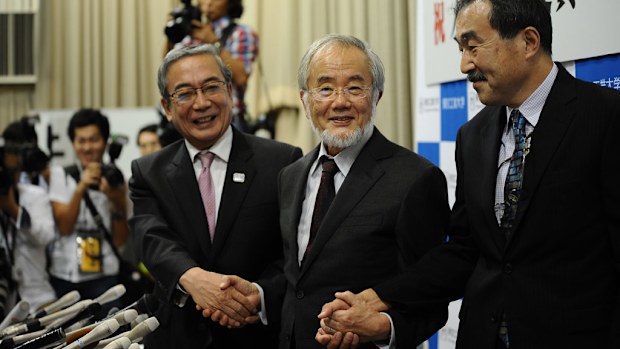 Yoshinori Ohsumi wins the Nobel Medicine Prize. (AFP)