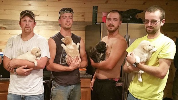 Michigan man Mitchel Craddock and his six groomsmen have adopted a litter and their mother after discovering them living in the Tennessee wilderness. (Trevor Jennings)