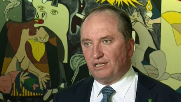 Barnaby Joyce. (9NEWS)