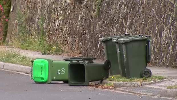 Banyule Council is planning to issue a fine for anyone too slow to bring bins in. (9NEWS)