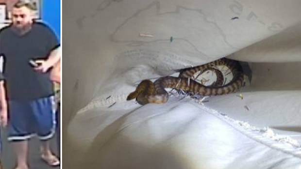 Police want to speak with a man about the snakes. (NSW Police Force)