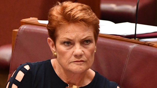 Pauline Hanson. (AAP)