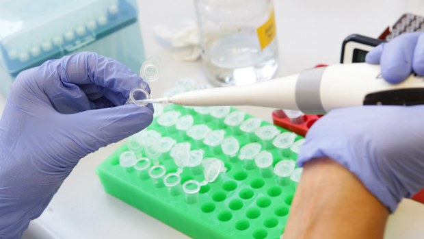 Cancer in adults is often just bad luck, US researchers say. (AAP)