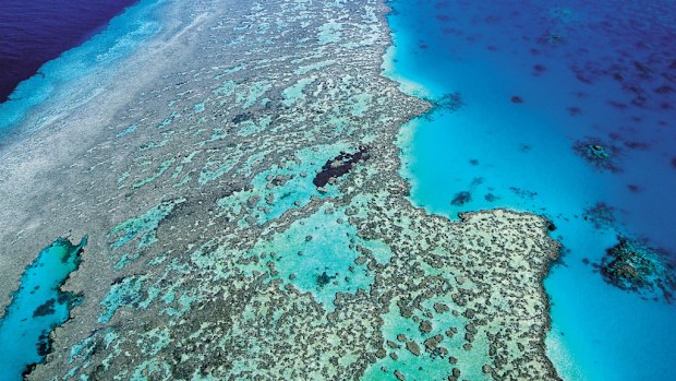 The Great Barrier Reef. (AAP/file)