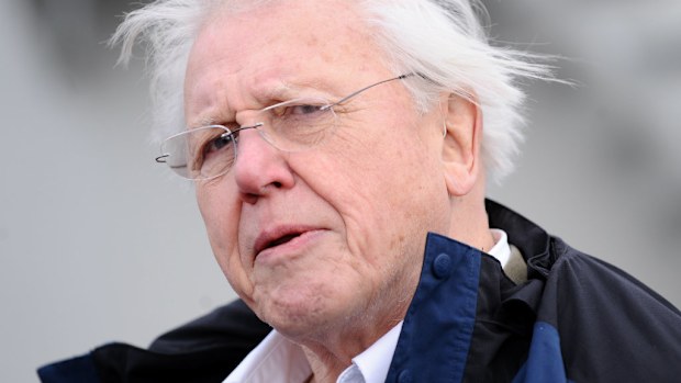 Sir David Attenborough has called for action on climate change. (AAP)