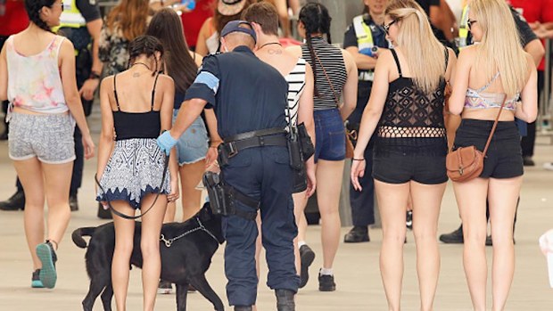 Pills at Stereosonic music festivals may be tested. (Getty)