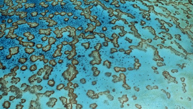 The Great Barrier Reef.