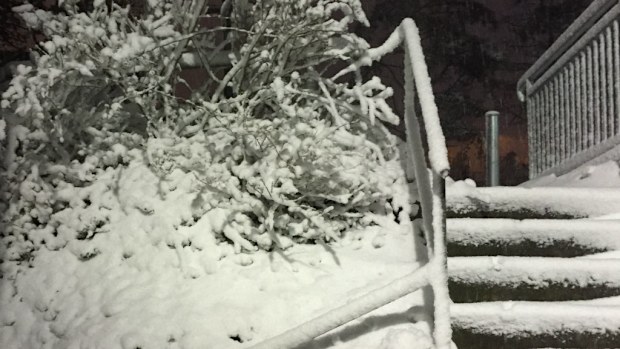 Snow fell thickly in the Blue Mountains town of Katoomba. (Janine Lewington)