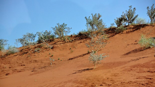 A report from a US government body has claimed 2014 was the Earth's hottest year ever. (AAP)