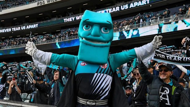Port Adelaide's mascot, Thunda, was punched during the Showdown in round 23.