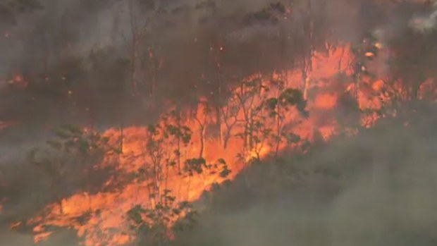 Authorities have warned that a million NSW homes are at risk in the upcoming bushfire season. (9NEWS)