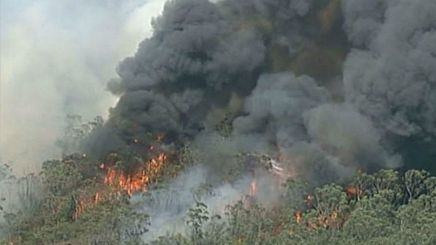 A bushfire rages in the NSW Blue Mountains. (9NEWS)